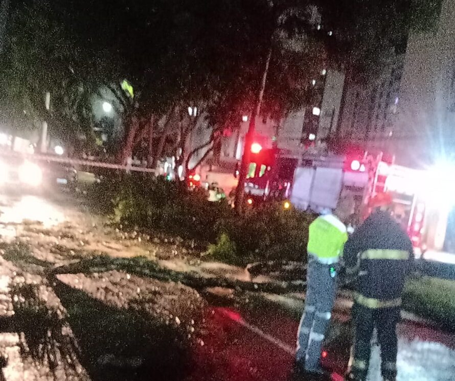 Árvore cai em cima de carro na rua José Cobra e deixa família presa