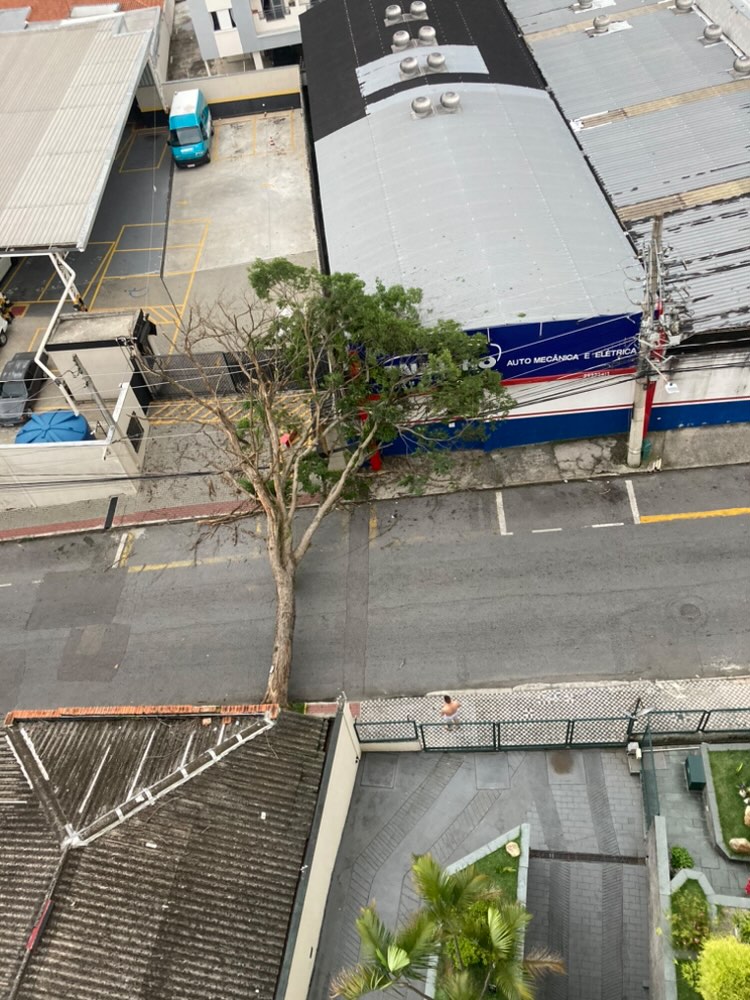 Queda de árvore deixa moradores e comerciantes sem energia no Jardim São Dimas