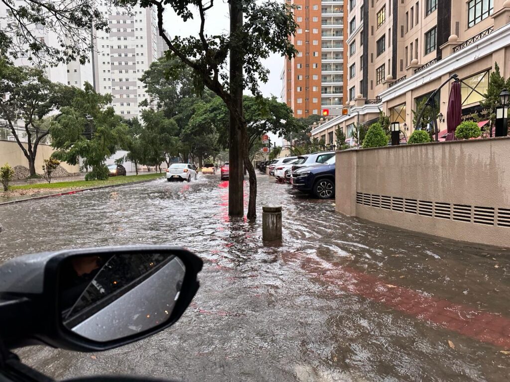 Fortes chuvas inundam e derrubam árvores em São José dos Campos