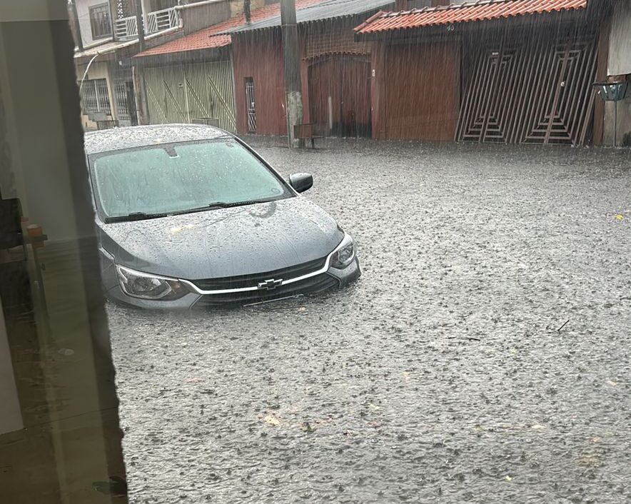 Fortes chuvas inundam e derrubam árvores em São José dos Campos