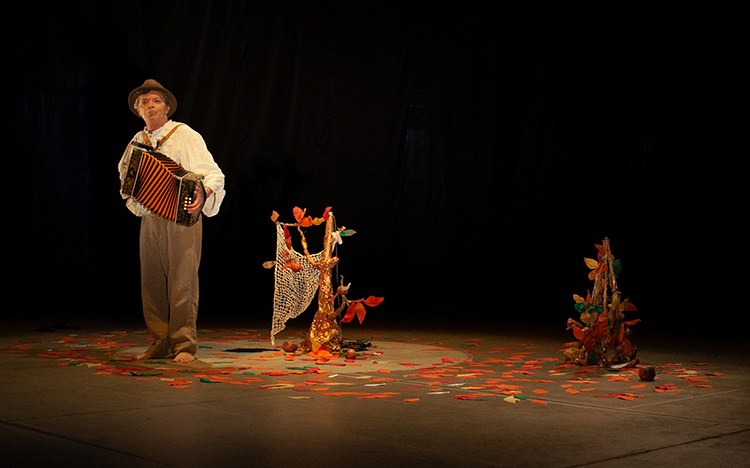 Domingo no Parque da Cidade tem Árvore da Alegria e seus moradores