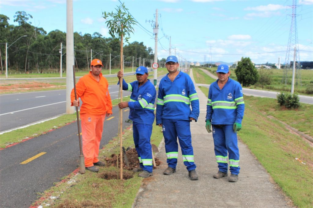 Via Cambuí recebe o plantio de 250 mudas de árvores