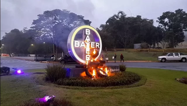 Bayer