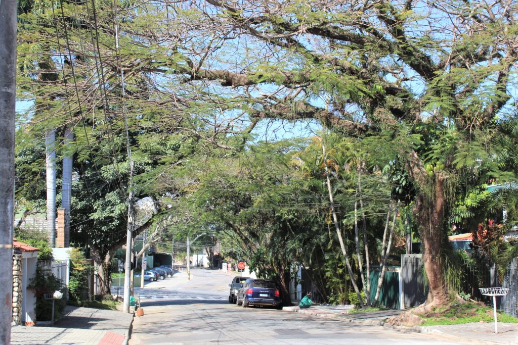 Mutirão de poda em 120 árvores do Jardim Esplanada na próxima semana!