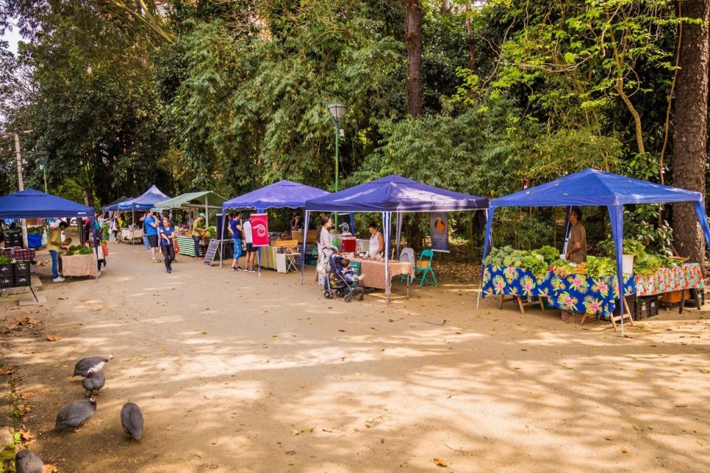Feirinha Verde do Vicentina Aranha abre seleção para novos produtos
