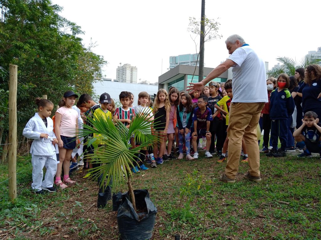 phere I. School realiza plantio de 400 mudas de árvores nativas às margens do Senhorinha