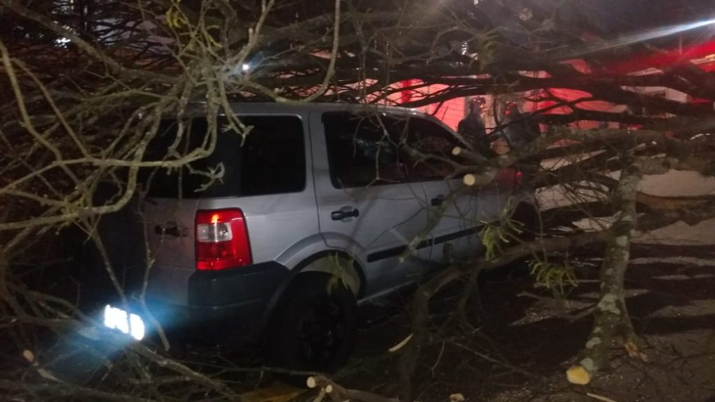 Árvore cai sobre carro e deixa pessoa ferida na zona sul de São José dos Campos