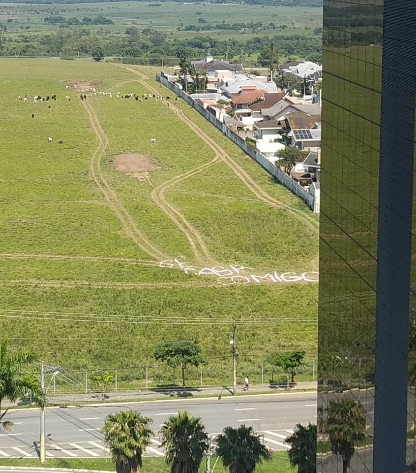 Pedido de Casamento Caindo do Prédio