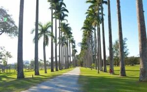 Verão começa nesta quarta-feira e vai até 20 de março de 2023