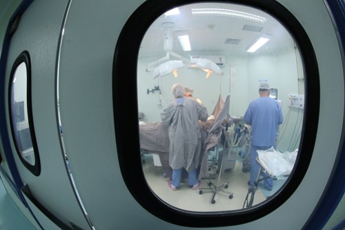 50 órgãos para transplantes foram captados pelo Hospital Municipal de São José em 2022