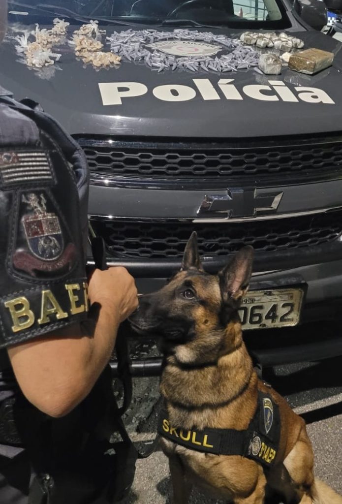 Com auxílio do cão Skull Baep localiza centenas de porções de drogas em conjunto habitacional na zona norte