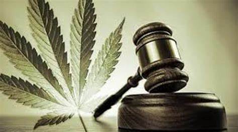 STF adia julgamento sobre descriminalização do porte de drogas