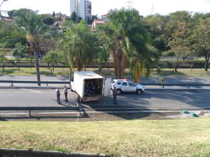 Caminhão em Fuga: Polícia Militar Recupera Itens Roubados na Av. Nelson D'Ávila