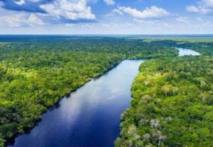 Virada Amazônia de Pé: Eventos em São José dos Campos Celebram o Dia da Amazônia e Promovem a Proteção do Bioma