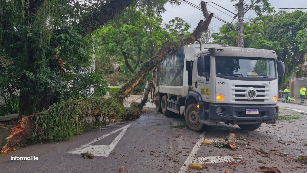 Árvore de grande porte cai sobre caminhão da coleta de lixo no Esplanada