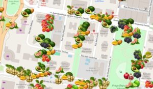 Fruta no Pé em Sanja Plataforma mostra árvores frutíferas em São José dos Campos
