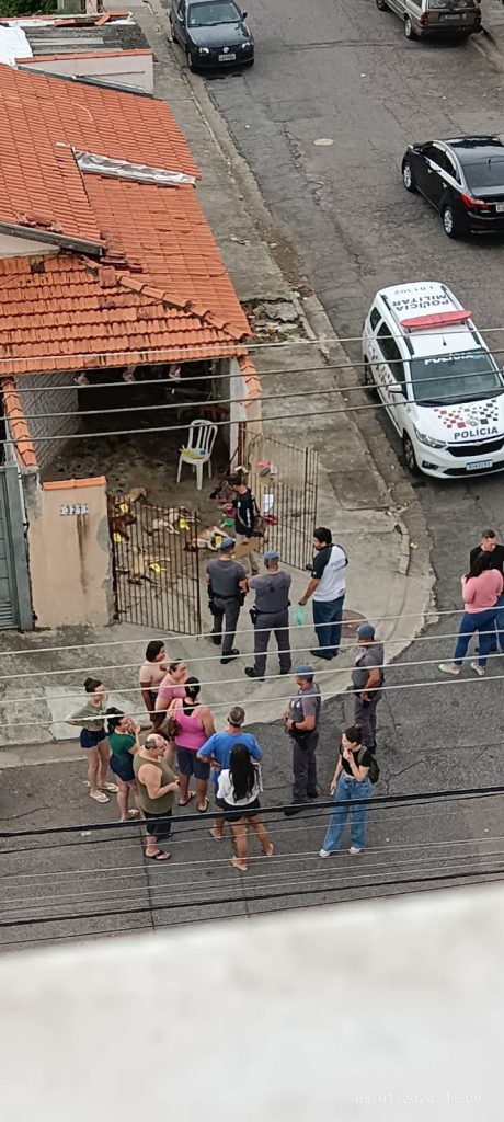 Polícia investiga a morte misteriosa de cinco cachorros na Vila Tatetuba