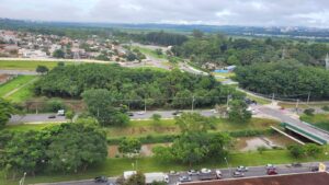 Corte de árvores gera preocupação e esclarecimentos na avenida Eduardo Cury