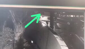 Rápidos e de bike Não dê bobeira com o celular no Aquarius! Vídeo!
