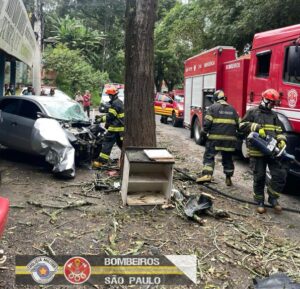 Acidente fatal na SP 50 Condutor perde a vida em colisão com árvore