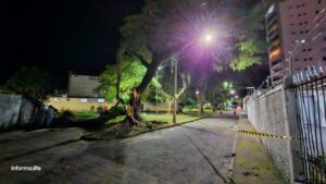 Árvore ameaça causar danos pela quarta vez em uma semana no Esplanada
