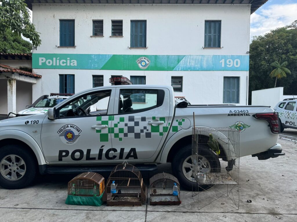 Aves nativas são resgatadas em operação da Polícia Ambiental em São José dos Campos