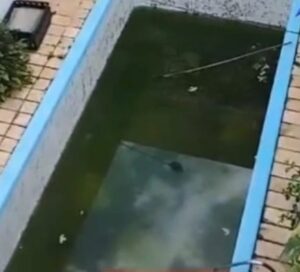 Denúncias de focos de dengue seguem em São José dos Campos!
