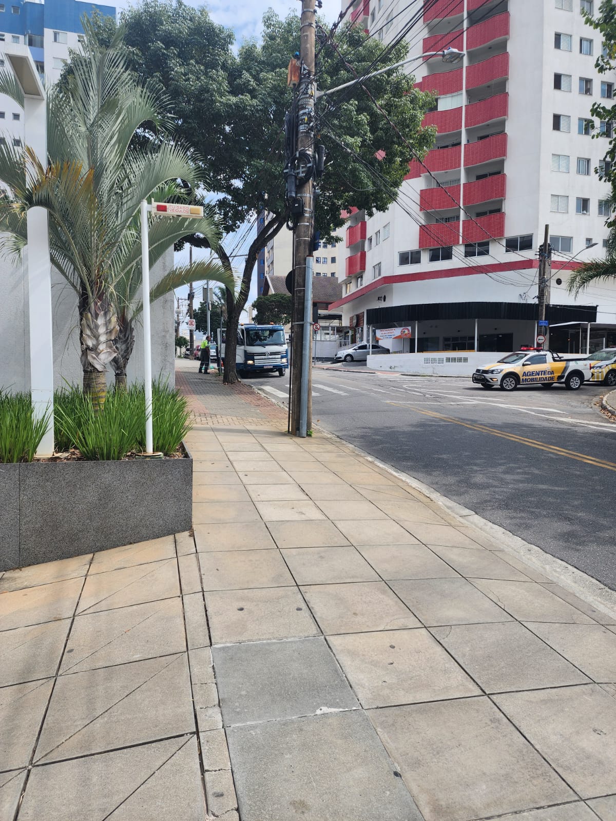 Carros guinchados na Orlando Feirabend