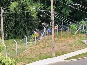 Denúncia de crime ambiental no Jardim Bela Vista Morador relata falta de ação imediata da Prefeitura