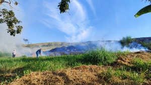 Crime ambiental: dupla é autuada por queimada em Jambeiro