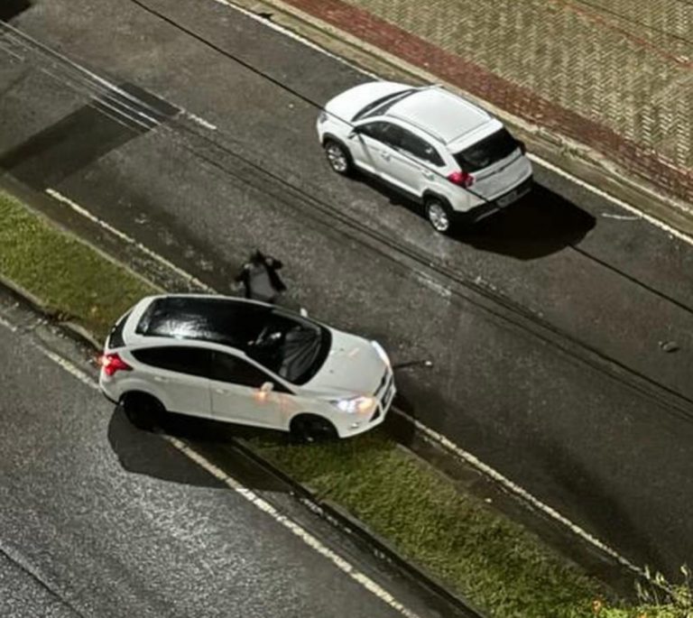 Motorista bate em canteiro no Urbanova