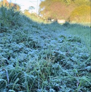 Campos do Jordão bate recorde de frio neste feriado