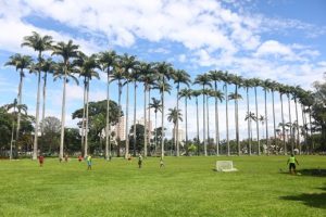 Semana do Meio Ambiente: ações começam neste sábado