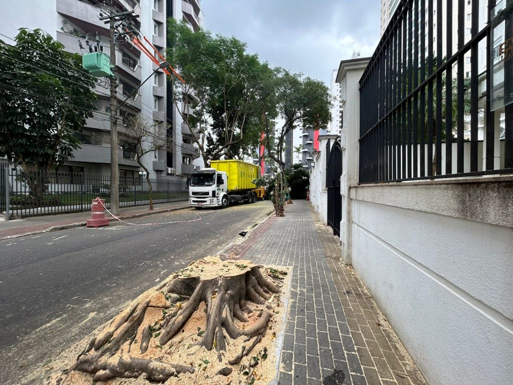 Aquarius Life Moradores reclamam da retirada de quatro árvores no bairro