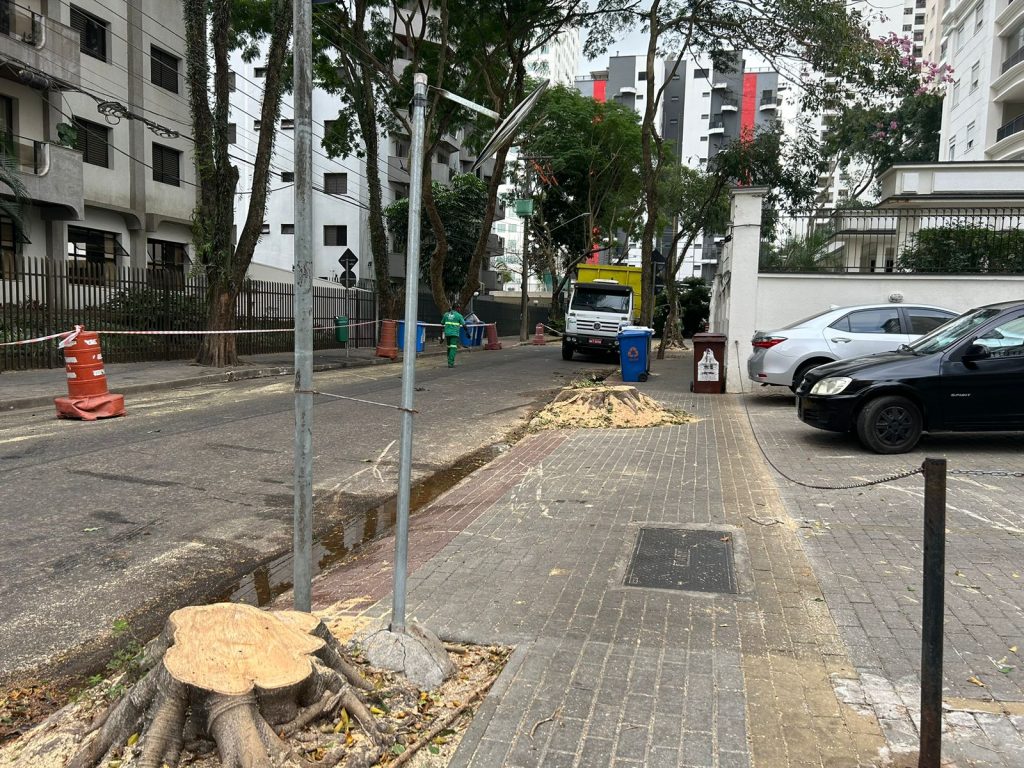 Aquarius Life Moradores reclamam da retirada de quatro árvores no bairro