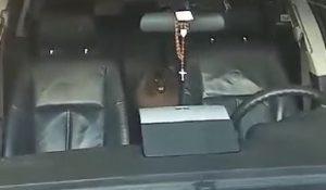 Cachorro é deixado em carro no Aquarius e levanta debate sobre cuidados com animais em veículos