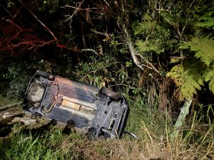 Carro capota em curva no Urbanova e invade área de mata preservada