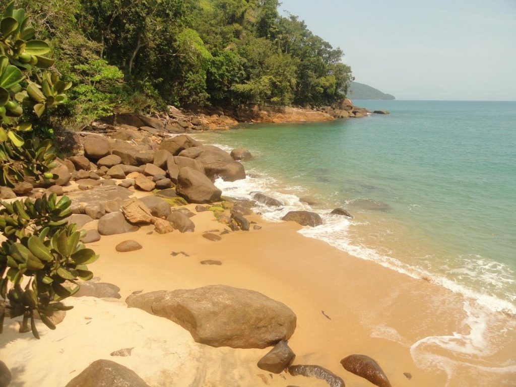 Fim de semana na praia? Litoral Norte tem apenas 3 praias impróprias