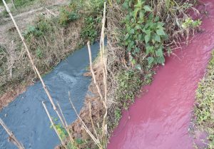Denúncia de Moradores Contaminação no Córrego Ressaca!