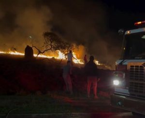 Incêndio atinge área de mata no Urbanova na noite desta 2ª