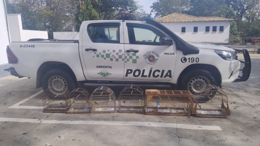 Polícia Ambiental resgata 7 aves silvestres em cativeiro em São José dos Campos