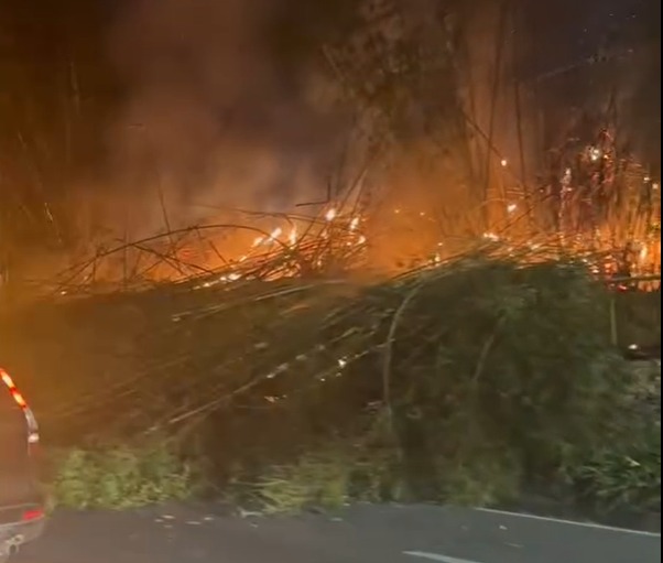 Fogo em vegetação no DCTA assusta motoristas na Via Dutra