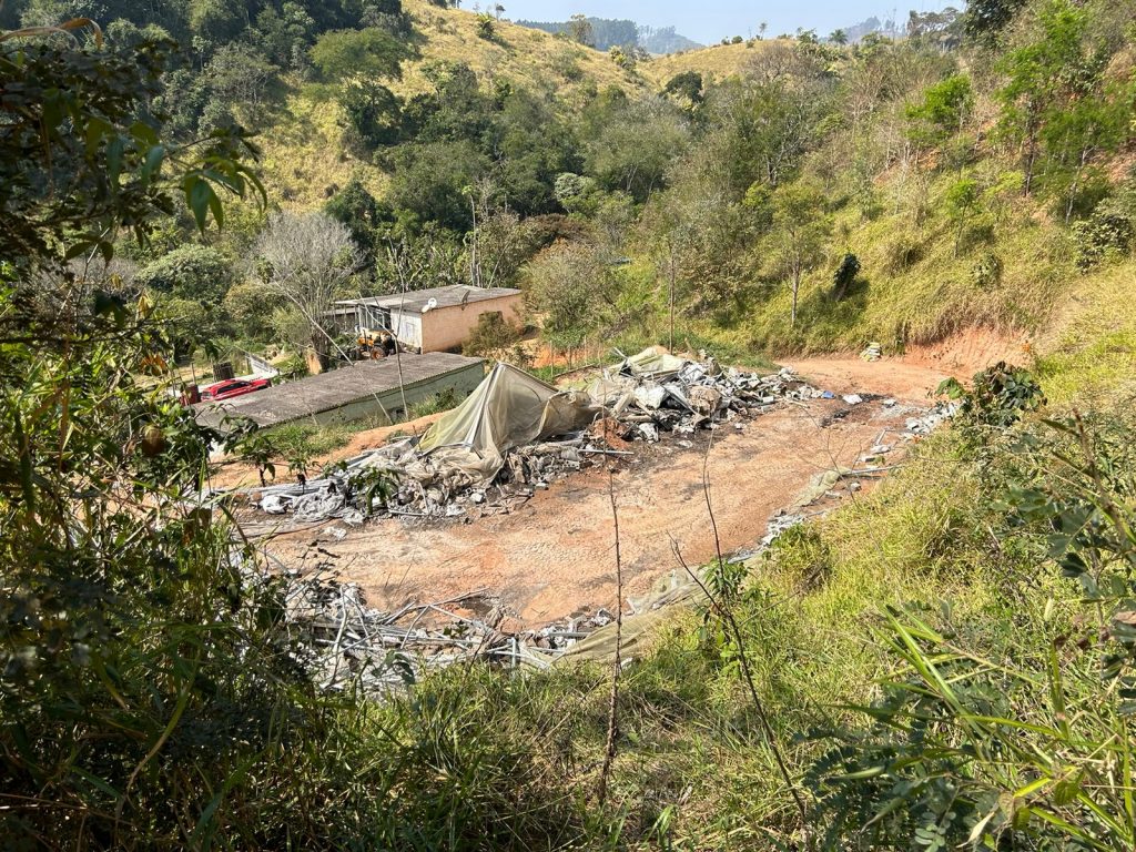 Polícia destrói plantação com 28 mil pés de maconha em Jacareí