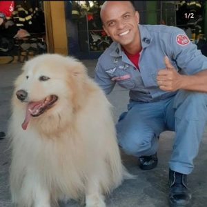 Bombeiro morre durante corte de árvore em Guaratinguetá