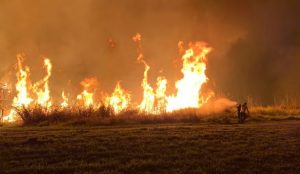 Incêndio de grandes proporções atinge área do Inpe em Cachoeira Paulista