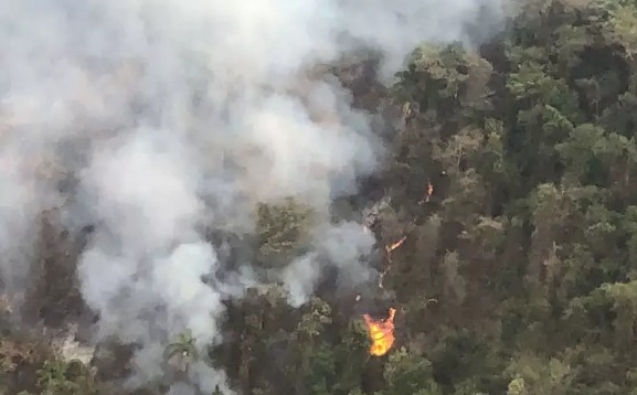 Incêndio em São Francisco Xavier atinge 500 mil m² de vegetação na Mantiqueira