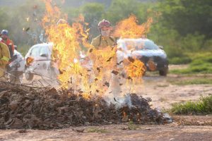 SP testa novo produto para combater incêndios florestais