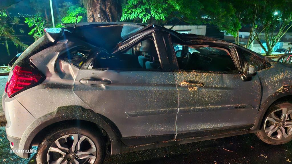 Queda de árvore na Anchieta destrói quatro carros e uma moto