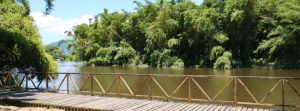 Parque Juqueriquerê é excelente opção de passeio gratuito em Caraguatatuba