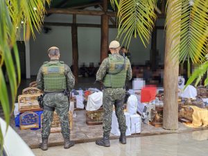 Polícia desarticula esquema de competição ilegal de pássaros em São Sebastião